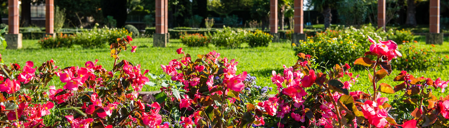 Parc clinique Belle Rive